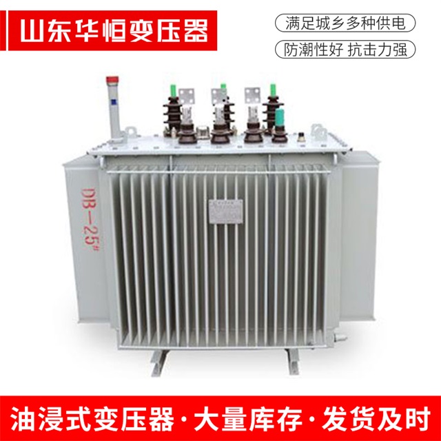SZ11-10000/35安平安平安平电力变压器