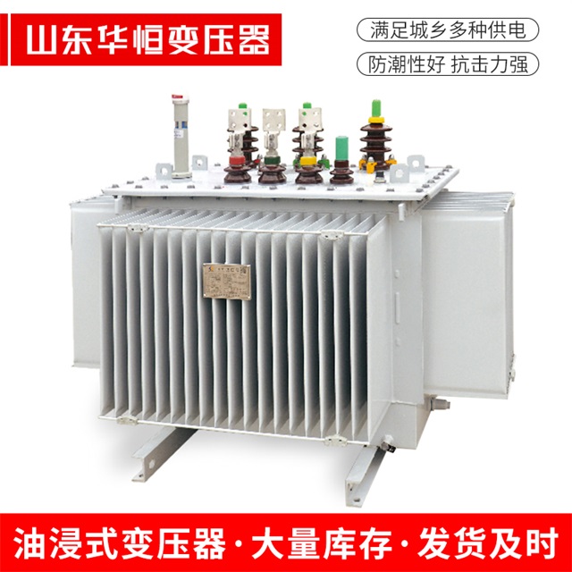 S13-10000/35安平安平安平电力变压器