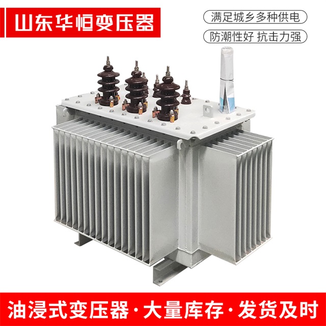 S13-10000/35安平安平安平油浸式变压器厂家